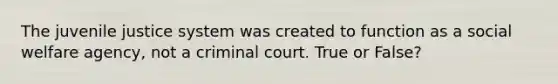 The juvenile justice system was created to function as a social welfare agency, not a criminal court. True or False?