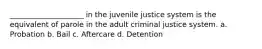 ____________________ in the juvenile justice system is the equivalent of parole in the adult criminal justice system. a. Probation b. Bail c. Aftercare d. Detention