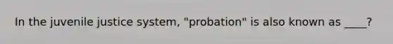 In the juvenile justice system, "probation" is also known as ____?