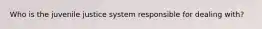 Who is the juvenile justice system responsible for dealing with?