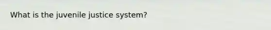 What is the juvenile justice system?