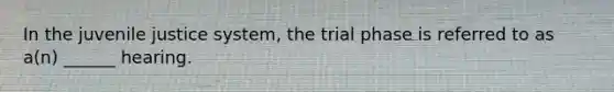 In the juvenile justice system, the trial phase is referred to as a(n) ______ hearing.