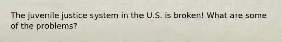 The juvenile justice system in the U.S. is broken! What are some of the problems?