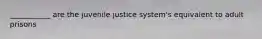 ___________ are the juvenile justice system's equivalent to adult prisons