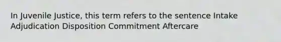 In Juvenile Justice, this term refers to the sentence Intake Adjudication Disposition Commitment Aftercare