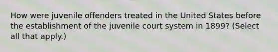 How were juvenile offenders treated in the United States before the establishment of the juvenile court system in 1899? (Select all that apply.)