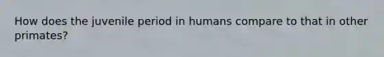 How does the juvenile period in humans compare to that in other primates?