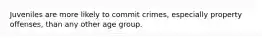 Juveniles are more likely to commit crimes, especially property offenses, than any other age group.