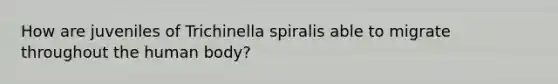 How are juveniles of Trichinella spiralis able to migrate throughout the human body?