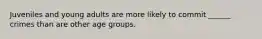 Juveniles and young adults are more likely to commit ______ crimes than are other age groups.