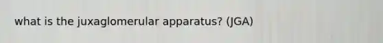 what is the juxaglomerular apparatus? (JGA)