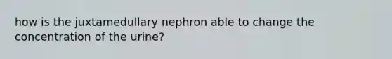 how is the juxtamedullary nephron able to change the concentration of the urine?