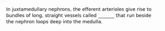 In juxtamedullary nephrons, the efferent arterioles give rise to bundles of long, straight vessels called _______ that run beside the nephron loops deep into the medulla.