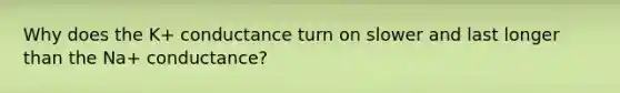 Why does the K+ conductance turn on slower and last longer than the Na+ conductance?