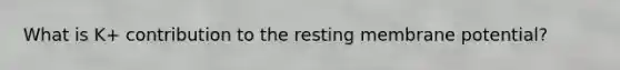 What is K+ contribution to the resting membrane potential?