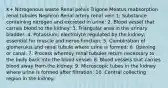 K+ Nitrogenous waste Renal pelvis Trigone Meatus reabsorption renal tubules Nephron Renal artery renal vein 1: Substance containing nitrogen and excreted in urine: 2. Blood vessel that carries blood to the kidney: 3. Triangular area in the urinary bladder: 4. Potassium; electrolyte regulated by the kidney; essential for muscle and nerve function: 5. Combination of glomerulus and renal tubule where urine is formed: 6. Opening or canal: 7. Process whereby renal tubules return necessary to the body back into the blood vessel: 8. Blood vessels that carries blood away from the kidney: 9. Microscopic tubes in the kidney where urine is formed after filtration: 10. Central collecting region in the kidney: