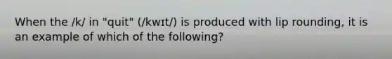 When the /k/ in "quit" (/kwɪt/) is produced with lip rounding, it is an example of which of the following?