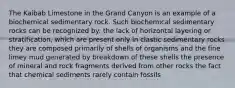 The Kaibab Limestone in the Grand Canyon is an example of a biochemical sedimentary rock. Such biochemical sedimentary rocks can be recognized by: the lack of horizontal layering or stratification, which are present only in clastic sedimentary rocks they are composed primarily of shells of organisms and the fine limey mud generated by breakdown of these shells the presence of mineral and rock fragments derived from other rocks the fact that chemical sediments rarely contain fossils