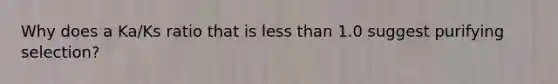 Why does a Ka/Ks ratio that is less than 1.0 suggest purifying selection?