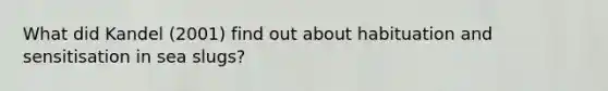 What did Kandel (2001) find out about habituation and sensitisation in sea slugs?