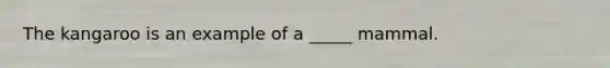 The kangaroo is an example of a _____ mammal.