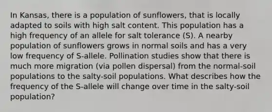 In Kansas, there is a population of sunflowers, that is locally adapted to soils with high salt content. This population has a high frequency of an allele for salt tolerance (S). A nearby population of sunflowers grows in normal soils and has a very low frequency of S-allele. Pollination studies show that there is much more migration (via pollen dispersal) from the normal-soil populations to the salty-soil populations. What describes how the frequency of the S-allele will change over time in the salty-soil population?