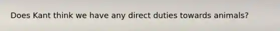 Does Kant think we have any direct duties towards animals?