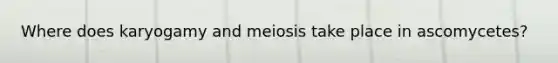 Where does karyogamy and meiosis take place in ascomycetes?