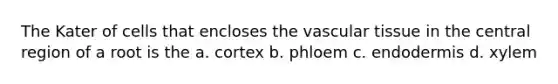 The Kater of cells that encloses the vascular tissue in the central region of a root is the a. cortex b. phloem c. endodermis d. xylem