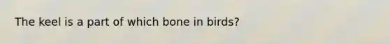 The keel is a part of which bone in birds?