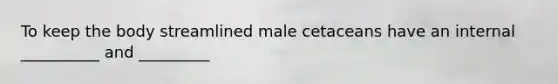 To keep the body streamlined male cetaceans have an internal __________ and _________