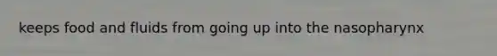 keeps food and fluids from going up into the nasopharynx