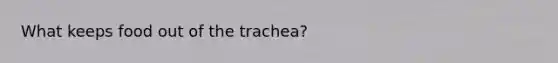 What keeps food out of the trachea?