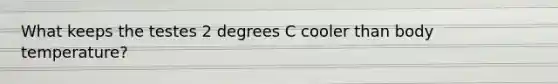 What keeps the testes 2 degrees C cooler than body temperature?