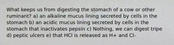 What keeps us from digesting <a href='https://www.questionai.com/knowledge/kLccSGjkt8-the-stomach' class='anchor-knowledge'>the stomach</a> of a cow or other ruminant? a) an alkaline mucus lining secreted by cells in the stomach b) an acidic mucus lining secreted by cells in the stomach that inactivates pepsin c) Nothing, we can digest tripe d) peptic ulcers e) that HCl is released as H+ and Cl-