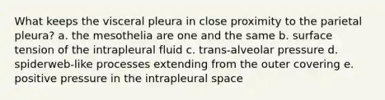 What keeps the visceral pleura in close proximity to the parietal pleura? a. the mesothelia are one and the same b. surface tension of the intrapleural fluid c. trans-alveolar pressure d. spiderweb-like processes extending from the outer covering e. positive pressure in the intrapleural space