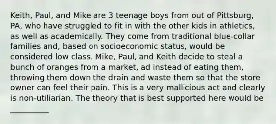 Keith, Paul, and Mike are 3 teenage boys from out of Pittsburg, PA, who have struggled to fit in with the other kids in athletics, as well as academically. They come from traditional blue-collar families and, based on socioeconomic status, would be considered low class. Mike, Paul, and Keith decide to steal a bunch of oranges from a market, ad instead of eating them, throwing them down the drain and waste them so that the store owner can feel their pain. This is a very mallicious act and clearly is non-utiliarian. The theory that is best supported here would be __________