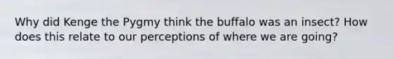 Why did Kenge the Pygmy think the buffalo was an insect? How does this relate to our perceptions of where we are going?