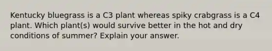 Kentucky bluegrass is a C3 plant whereas spiky crabgrass is a C4 plant. Which plant(s) would survive better in the hot and dry conditions of summer? Explain your answer.