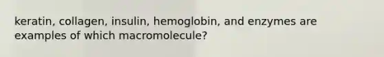 keratin, collagen, insulin, hemoglobin, and enzymes are examples of which macromolecule?