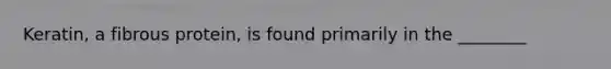Keratin, a fibrous protein, is found primarily in the ________