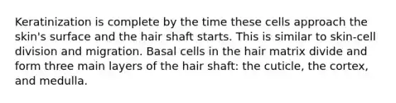 Keratinization is complete by the time these cells approach the skin's surface and the hair shaft starts. This is similar to skin-cell division and migration. Basal cells in the hair matrix divide and form three main layers of the hair shaft: the cuticle, the cortex, and medulla.