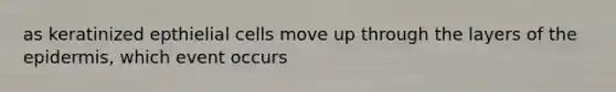 as keratinized epthielial cells move up through the layers of <a href='https://www.questionai.com/knowledge/kBFgQMpq6s-the-epidermis' class='anchor-knowledge'>the epidermis</a>, which event occurs