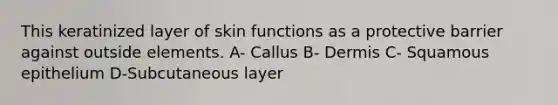 This keratinized layer of skin functions as a protective barrier against outside elements. A- Callus B- Dermis C- Squamous epithelium D-Subcutaneous layer