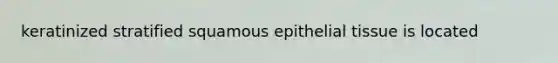 keratinized stratified squamous <a href='https://www.questionai.com/knowledge/k7dms5lrVY-epithelial-tissue' class='anchor-knowledge'>epithelial tissue</a> is located