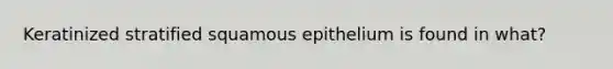 Keratinized stratified squamous epithelium is found in what?