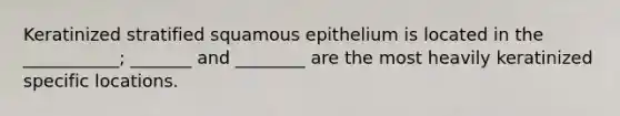 Keratinized stratified squamous epithelium is located in the ___________; _______ and ________ are the most heavily keratinized specific locations.