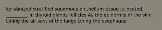 keratinized stratified squamous epithelium tissue is located _________. In thyroid glands follicles As the epidermis of the skin Lining the air sacs of the lungs Lining the esophagus