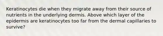 Keratinocytes die when they migrate away from their source of nutrients in the underlying dermis. Above which layer of the epidermis are keratinocytes too far from the dermal capillaries to survive?