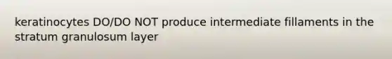 keratinocytes DO/DO NOT produce intermediate fillaments in the stratum granulosum layer